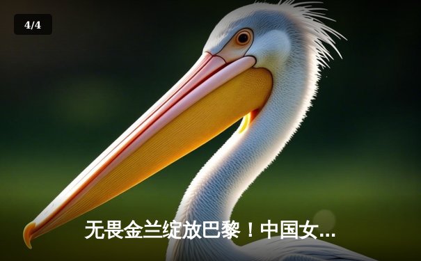 无畏金兰绽放巴黎！中国女篮加时险胜日本夺热身赛冠军 - 4