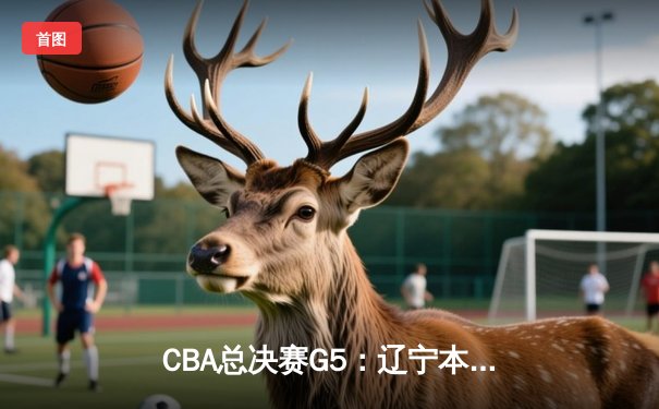 CBA总决赛G5：辽宁本钢加时险胜广东宏远 成功卫冕总冠军